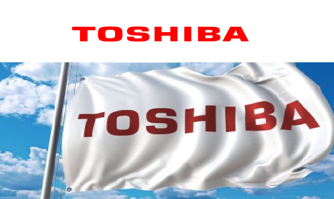 İzmir Bayraklı Toshiba Kombi Klima Servisi